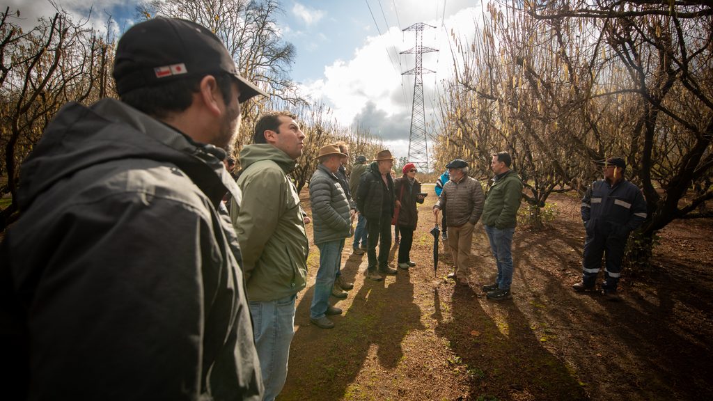 LA SEGUNDA CUMBRE ARAUCANÍA FRUTÍCOLA REÚNE AL SECTOR PARA…