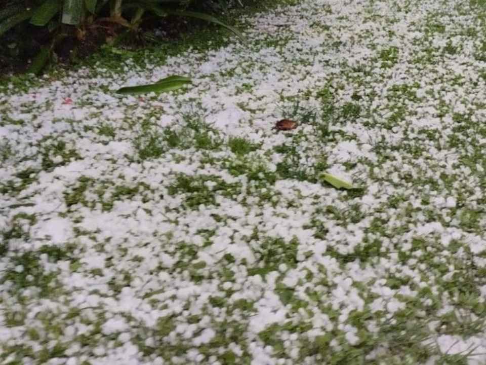 Inusual granizadas golpea a la fruticultura de O’Higgins y ponen en…