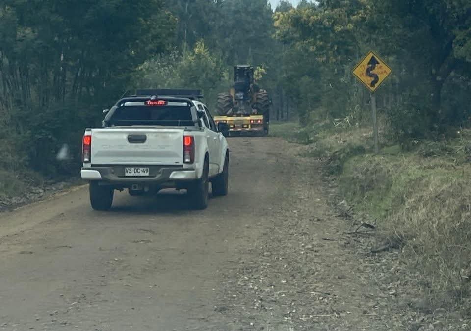 Ataque armado contra trabajadores forestales sacude a la comuna de Angol