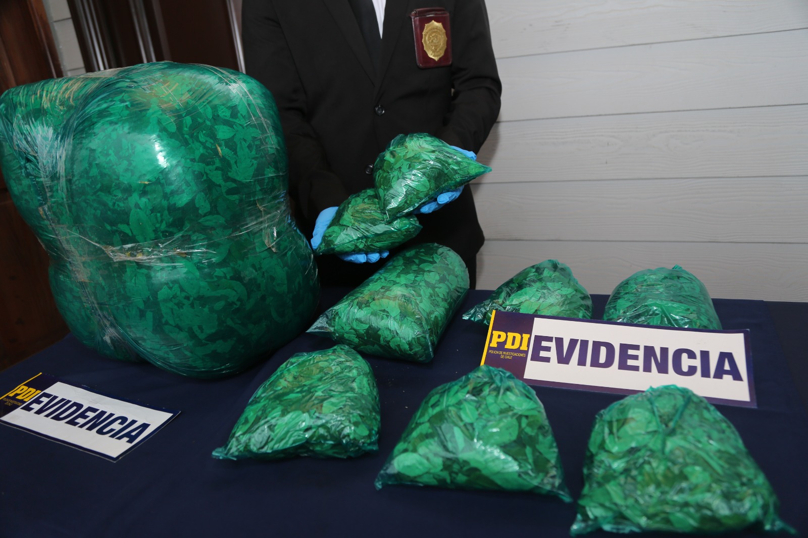 PDI incauta 16,5 kilos de hoja de coca y detiene a joven de 19 años…
