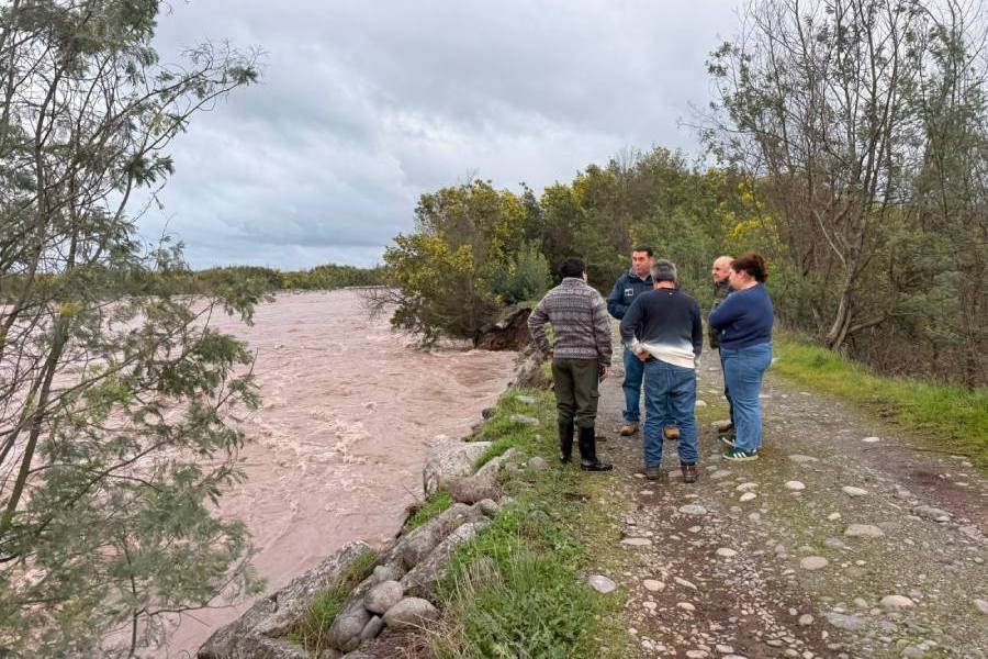 Detienen en San Carlos a hombre por porte ilegal de munición