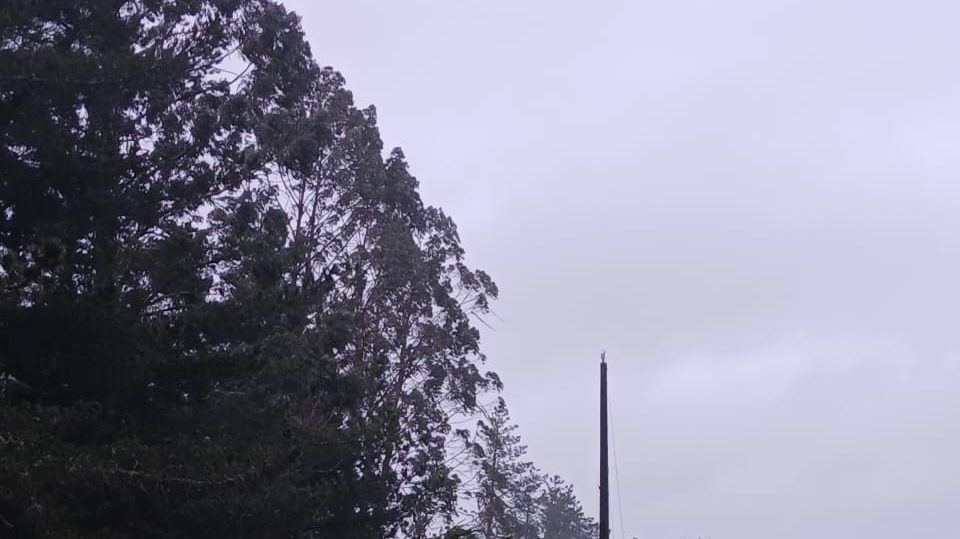 Conducir ebrio no puede salir gratis: el impacto de la impunidad vial
