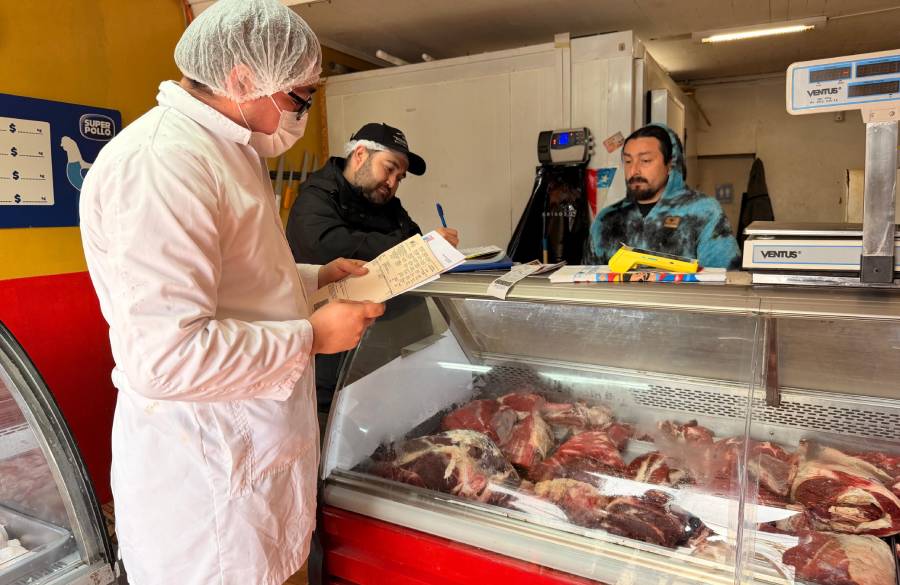 Hallan 157 kilos de productos cárnicos en mal estado en locales de Ñuble
