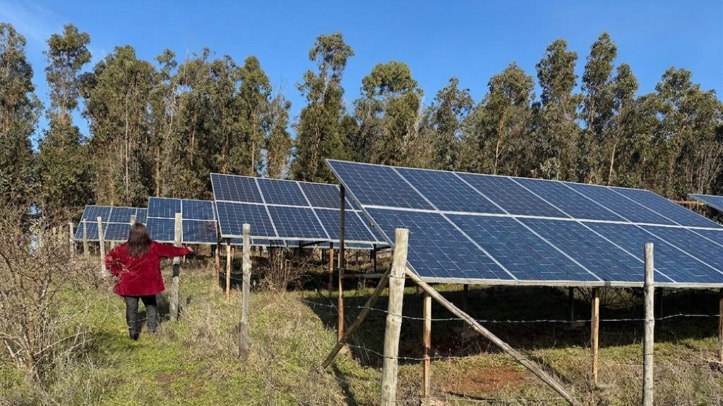CONADI ABRE CONVOCATORIA PARA FINANCIAR PROYECTOS AMBIENTALES DE…