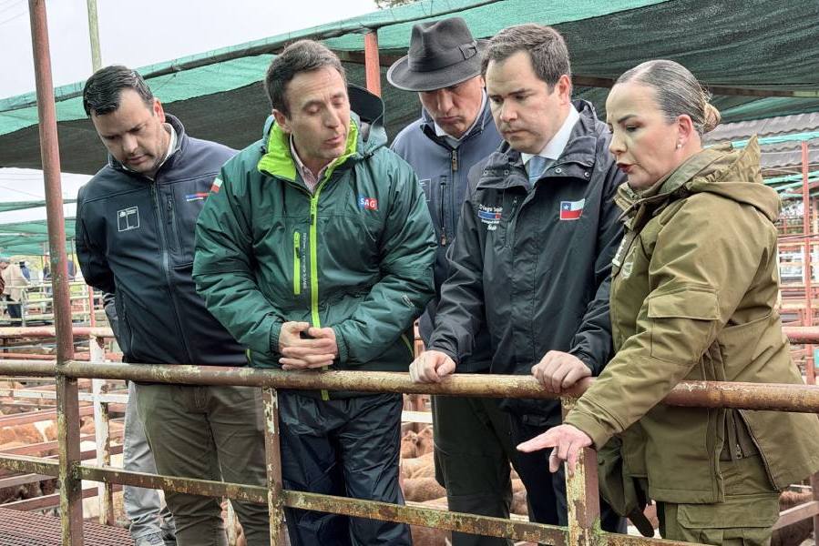 Agroseguros llegó a Ñuble para escuchar a los productores
