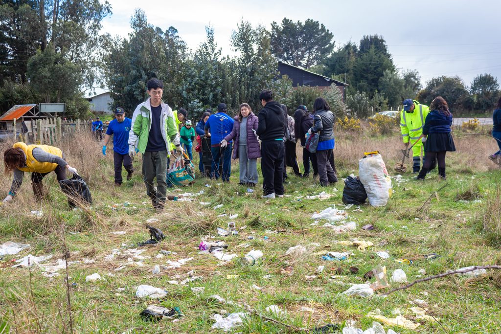 COMUNIDAD DE HUENTE EN TEODORO SCHMIDT CULMINA EXITOSO PROYECTO DE…