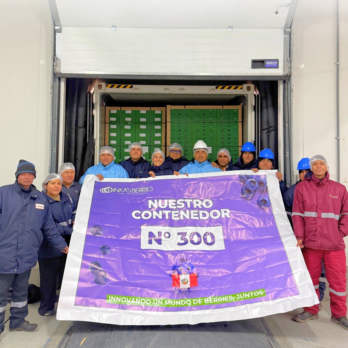 Inka’s Berries alcanza los 300 contenedores exportados en la campaña…