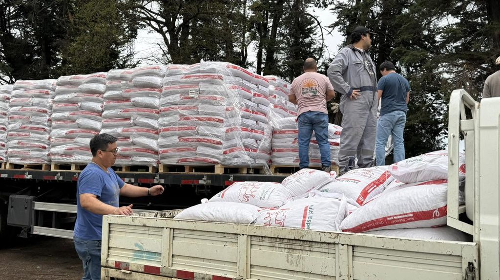 GOBIERNO ENTREGA AYUDA A DAMNIFICADOS DE VIVIENDAS Y PRODUCCIÓN…