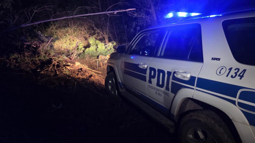 Hombre muere tras ser aplastado por árbol en medio de faenas…