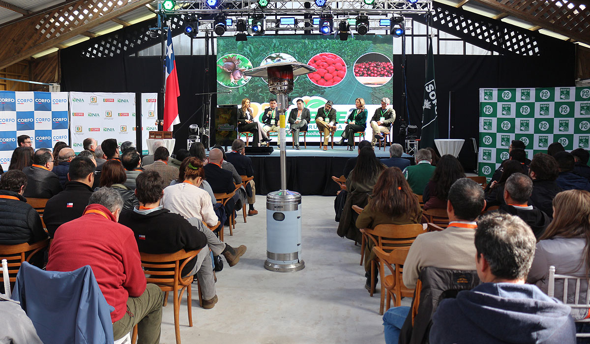 Exitosa Segunda Cumbre Araucanía Frutícola reúne a todo el…