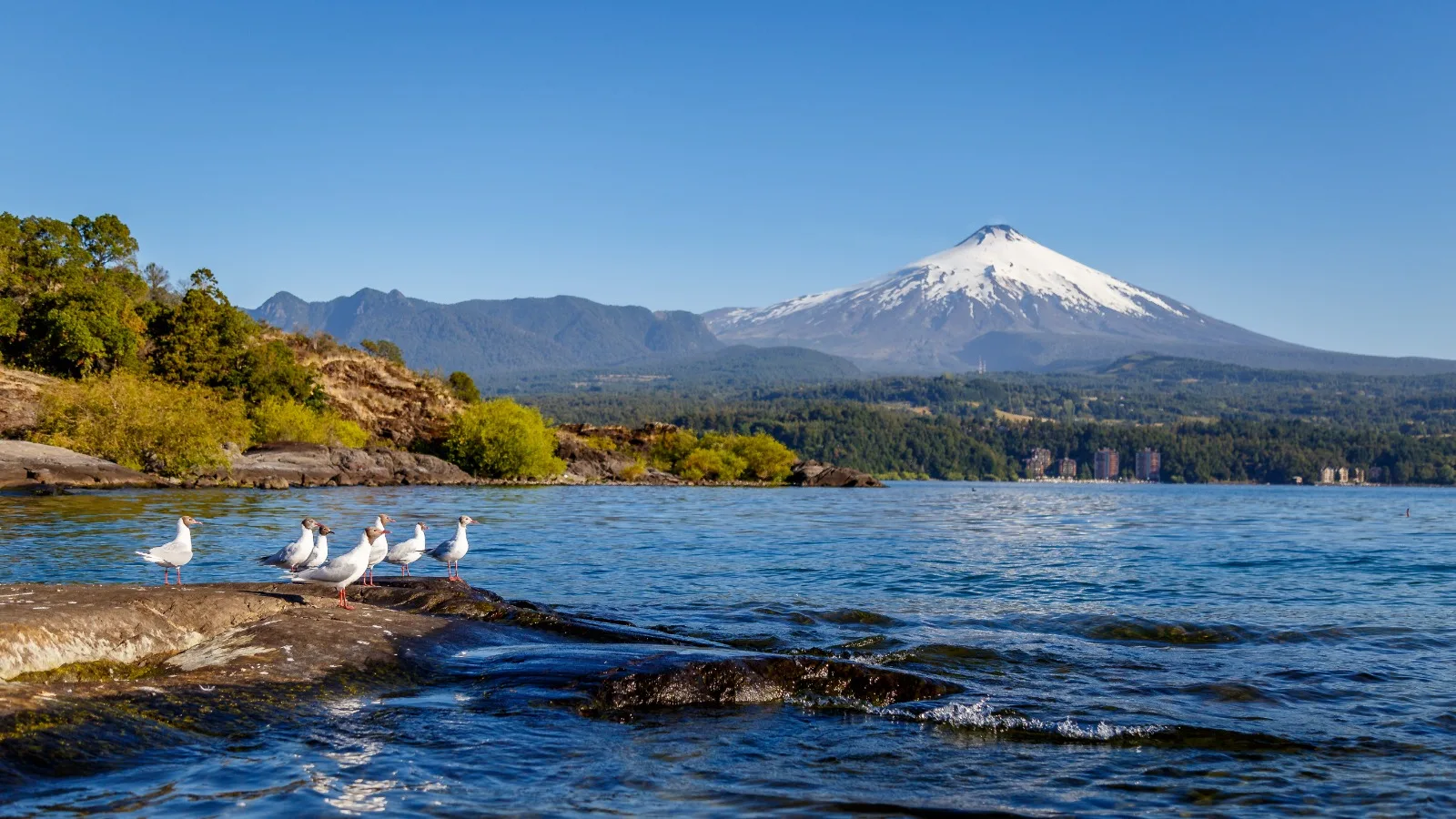 Plan de Descontaminación del Lago Villarrica