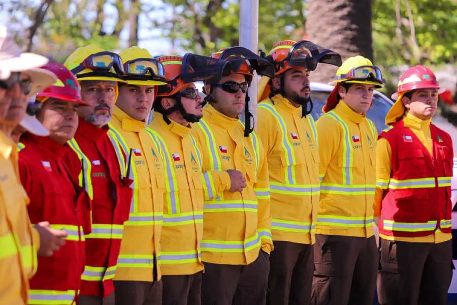 Conaf necesita 197 brigadistas para el combate de incendios en Ñuble