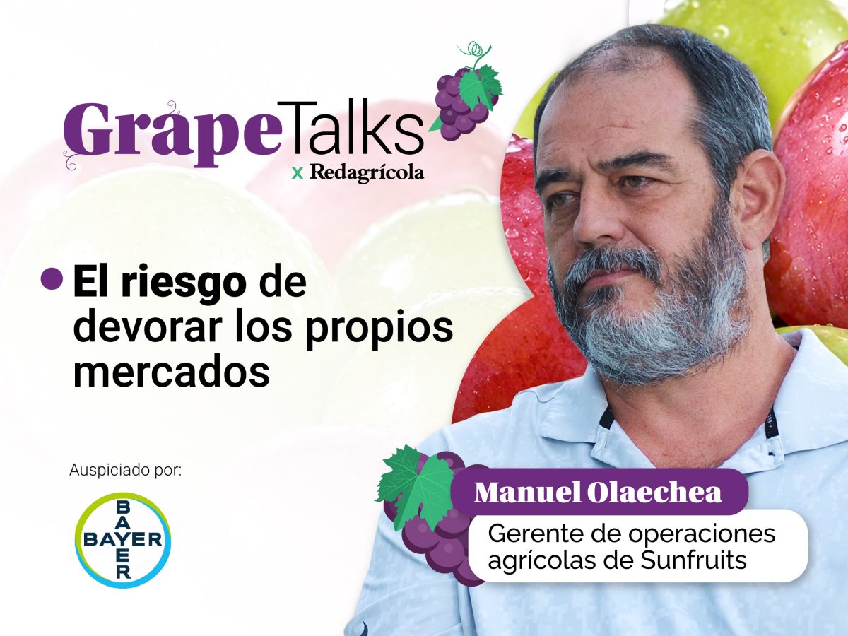 “El agro peruano debe especializarse y dejar de depredar sus propios…
