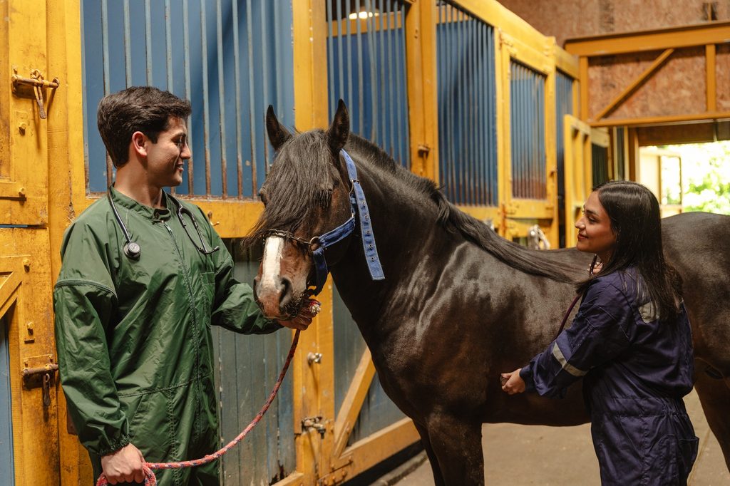 CIENCIAS VETERINARIAS Y AGRARIAS DE LA UACH DESTACAN EN EL…