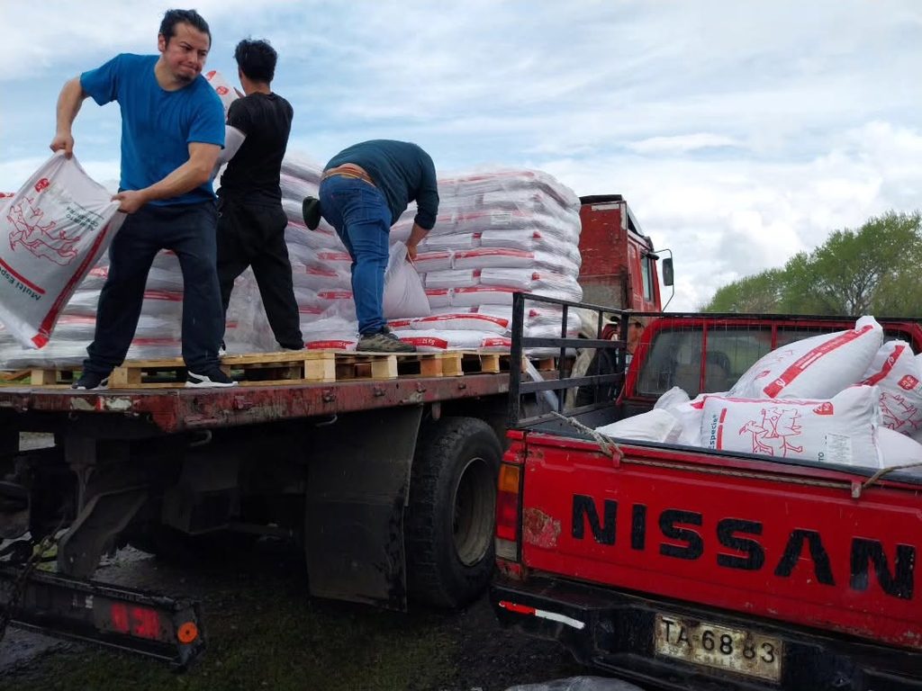 INDAP ARAUCANÍA ENTREGA MÁS DE 917 TONELADAS DE ALIMENTACIÓN ANIMAL…
