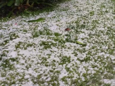 Inusual granizadas golpea a la fruticultura de O’Higgins y ponen en…