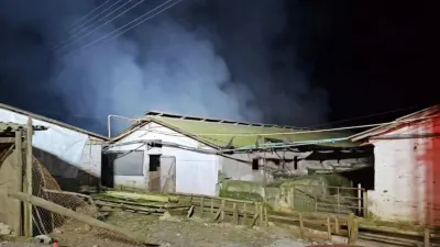 Miles de cerdos mueren tras incendio que afectó a criadero en Curicó
