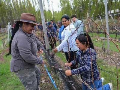 Taller de poda de vides reunió a productores de Chile Chico para…