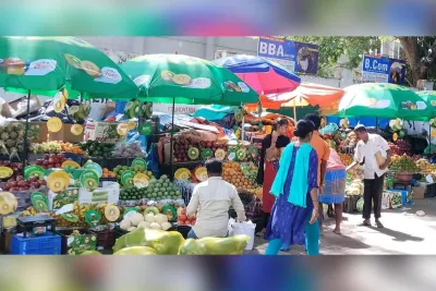 Zespri celebra la entrada en vigencia del TLC entre India y Nueva…