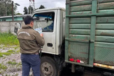 Detienen a hombre por abigeato tras no acreditar origen de seis…